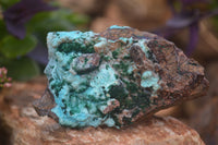 Natural Drusy Coated Chrysocolla & Malachite On Copper Dolomite x 2 From Likasi, Congo