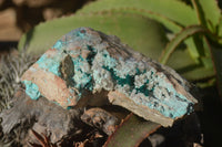 Natural Semi Crystalline Dioptase Specimens  x 2 From Grootfontein, Namibia