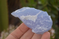 Natural Etched Blue Chalcedony Specimens  x 12 From Nsanje, Malawi