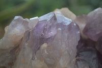 Natural Jacaranda Amethyst Cluster x 1 From Mumbwa, Zambia - TopRock