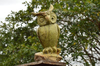 Polished Large Hand Carved Leopard Stone Owl Sculpture x 1 From Zimbabwe - TopRock