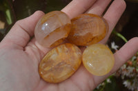 Polished Golden Healer Hematoid Quartz Galet / Palm Stones x 35 From Madagascar