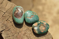 Polished Green Chrome / Emerald Chrysoprase Free Form Palm Stones   x 20 From Zimbabwe - TopRock