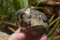 Polished Septaria Dragon's Eggs (Calcite & Aragonite) x 5 From Mahajanga, Madagascar - TopRock