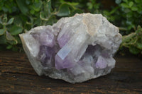 Natural Large Jacaranda Amethyst Cluster  x 1 From Mumbwa, Zambia - Toprock Gemstones and Minerals 