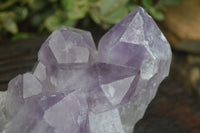 Natural Jacaranda Amethyst Clusters  x 3 From Mumbwa, Zambia - Toprock Gemstones and Minerals 