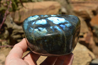 Polished Labradorite Standing Free Forms With Intense Blue & Gold Flash x 2 From Sakoany, Madagascar - TopRock