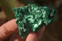 Natural Chatoyant Silky Malachite Specimens  x 12 From Congo