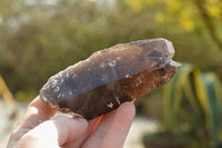 Natural New Smokey Quartz Crystal Specimens  x 6 From Mt. Mulanje, Malawi - TopRock