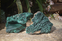 Natural Malachite Specimens x 2 From Congo