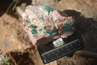 Natural Semi Crystalline Dioptase Specimens  x 2 From Grootfontein, Namibia