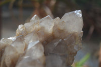 Natural Cascading Smokey Quartz Clusters x 2 From Luena, Congo