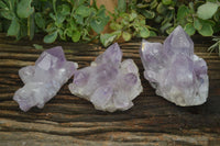 Natural Jacaranda Amethyst Clusters  x 3 From Mumbwa, Zambia - Toprock Gemstones and Minerals 