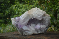 Natural Large Jacaranda Amethyst Cluster  x 1 From Mumbwa, Zambia - Toprock Gemstones and Minerals 