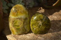 Polished  Green Opal Standing Free Forms  x 6 From Antsirabe, Madagascar