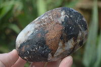 Polished Tourmalinated Quartz Free Forms  x 8 From Karibib, Namibia - TopRock