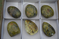 Polished Green Opal Standing Free Forms  x 6 From Madagascar - Toprock Gemstones and Minerals 