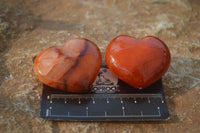 Polished Carnelian Agate Hearts  x 12 From Madagascar