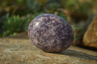 Polished Purple Lepidolite Palm Stones  x 12 From Zimbabwe