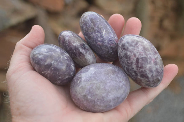 Polished Purple Lepidolite With Pink Tourmaline Points  x 12 From Madagascar - TopRock