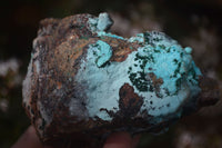 Natural Drusy Coated Chrysocolla & Malachite On Copper Dolomite x 2 From Likasi, Congo