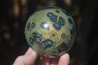 Polished Stromatolite / Kambamba Jasper Spheres  x 2 From Madagascar - Toprock Gemstones and Minerals 