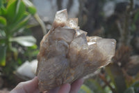 Natural Cascading Smokey Quartz Clusters x 2 From Luena, Congo