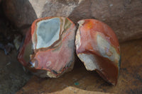 Polished One Side Polished Polychrome Jasper Nodules  x 6 From Mahajanga, Madagascar