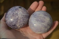 Polished Purple Lepidolite Palm Stones  x 12 From Zimbabwe