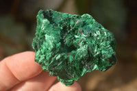 Natural Chatoyant Silky Malachite Specimens  x 12 From Congo