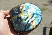 Polished Labradorite Standing Free Forms With Intense Blue & Gold Flash x 2 From Sakoany, Madagascar - TopRock