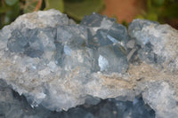 Natural Blue Celestite Geode Specimen  x 1 From Sakoany, Madagascar