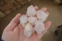 Natural White Cactus Flower Spirit Quartz Specimens x 70 From Boekenhouthoek, South Africa