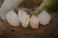 Natural White Cactus Flower Spirit Quartz Specimens x 70 From Boekenhouthoek, South Africa