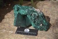 Natural Malachite Specimens x 2 From Congo