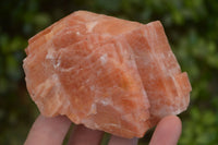 Natural New Sunset Orange Calcite Specimens  x 12 From Spitzkop, Namibia - Toprock Gemstones and Minerals 