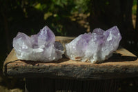 Natural Jacaranda Amethyst Clusters  x 3 From Mumbwa, Zambia - Toprock Gemstones and Minerals 