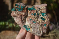 Natural Semi Crystalline Dioptase Specimens  x 2 From Grootfontein, Namibia