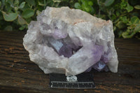 Natural Large Jacaranda Amethyst Cluster  x 1 From Mumbwa, Zambia - Toprock Gemstones and Minerals 