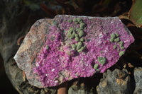 Natural Pink Salrose Cobaltion Dolomite Specimens  x 6 From Congo - Toprock Gemstones and Minerals 