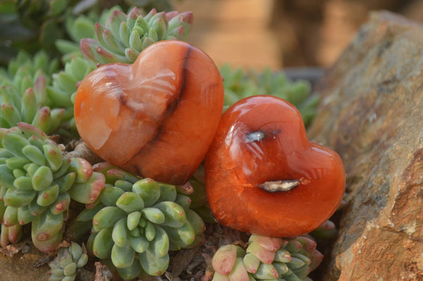 Polished Carnelian Agate Hearts  x 12 From Madagascar