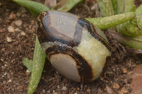 Polished Septaria Dragon's Eggs (Calcite & Aragonite) x 5 From Mahajanga, Madagascar - TopRock