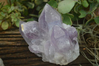 Natural Jacaranda Amethyst Clusters  x 3 From Mumbwa, Zambia - Toprock Gemstones and Minerals 