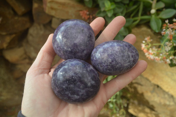 Polished Purple Lepidolite Palm Stones  x 12 From Zimbabwe