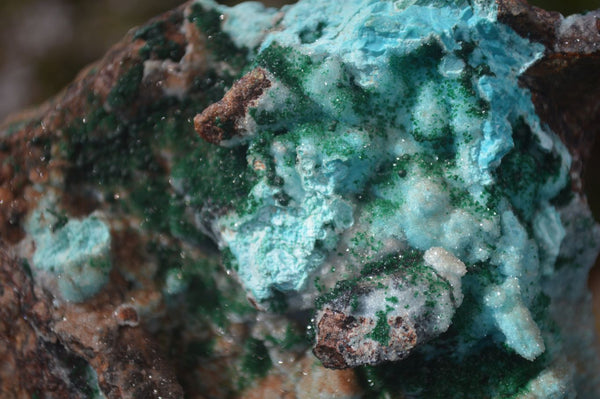 Natural Drusy Coated Chrysocolla & Malachite On Copper Dolomite  x 2 From Likasi, Congo
