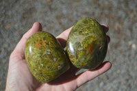 Polished Green Opal Standing Free Forms  x 6 From Madagascar - Toprock Gemstones and Minerals 