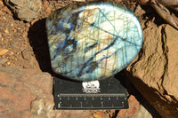 Polished Labradorite Standing Free Forms With Intense Blue & Gold Flash x 2 From Sakoany, Madagascar - TopRock