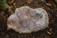 Natural Amethyst Crystal Centred Geodes  x 6 From Zululand, South Africa - TopRock