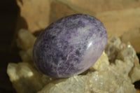 Polished Purple Lepidolite Palm Stones  x 12 From Zimbabwe