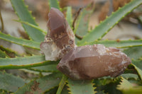 Natural Red Hematoid Quartz Specimens x 12 From Karoi, Zimbabwe - TopRock